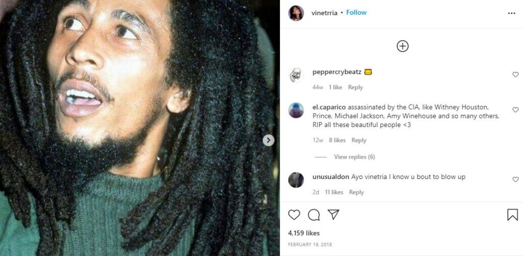 Vinetria's first Instagram post