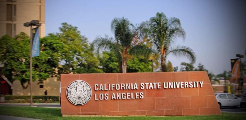Amrapali studied at California State University Los Angeles