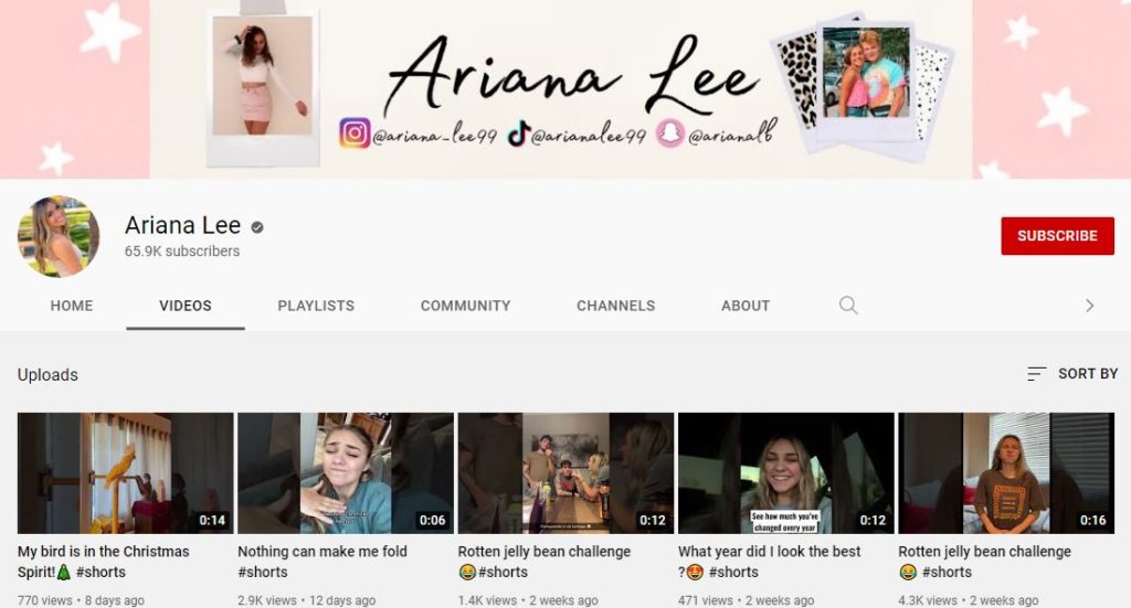 Ariana Lee YouTube channel