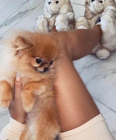 Chloe Khan with her pet