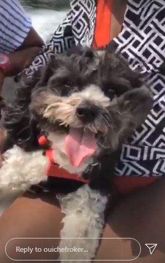 Courtney's pet dog Pepper