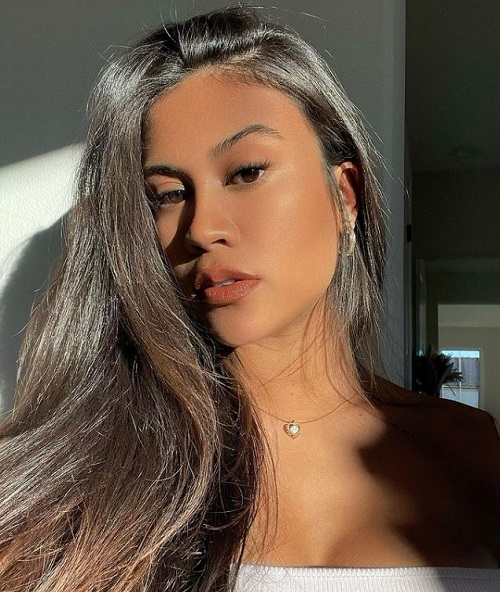 Diamond Brown American Fashion Model, Instagram Influencer, and Famous Personality