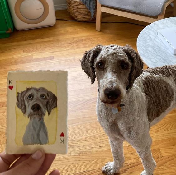Gracie's pet dog