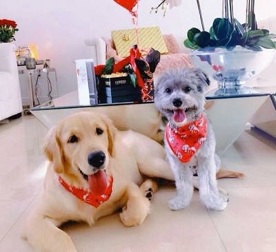 Katie Angel has two pets
