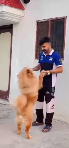 Nishan Khehra has a pet dog