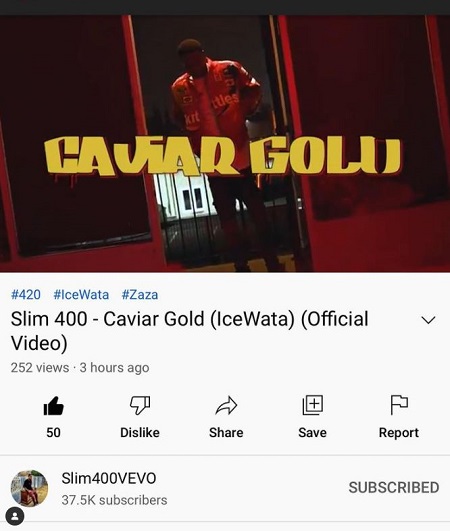 Slim 400 Career, TV Shows & Profession