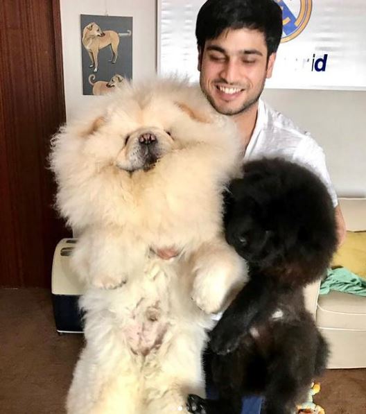 Anmol Ambani is an animal lover