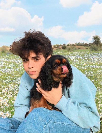 Benji Krol has a pet dog