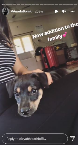 Divya Bharathi has a pet dog