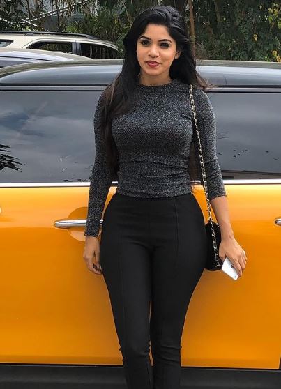 Divya Bharathi net worth