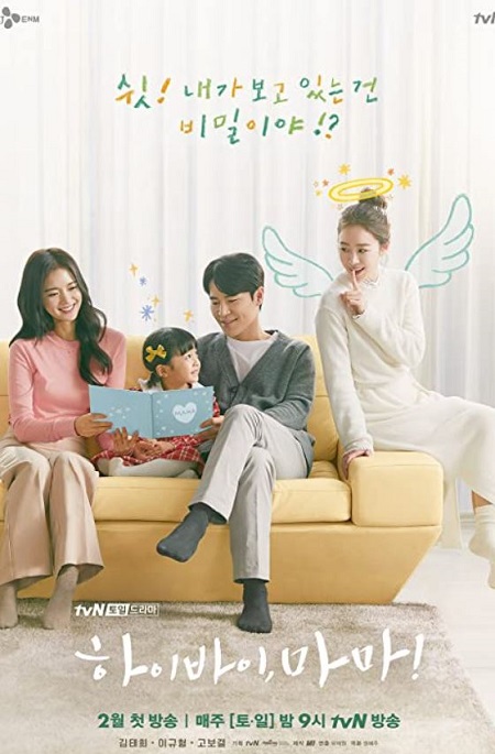 Kim Mi Soo Career, TV Shows & Profession