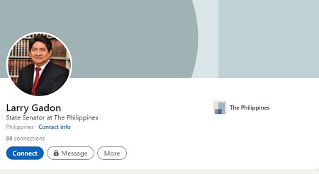 Larry Gadon Career & Profession