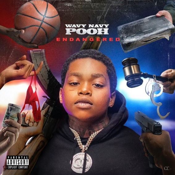 Wavy Navy Pooh albums