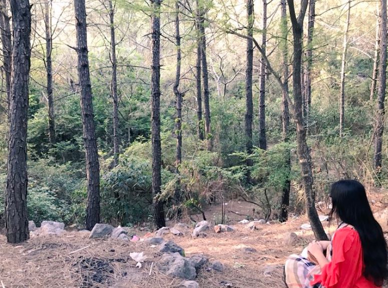 Dua Aamir likes traveling