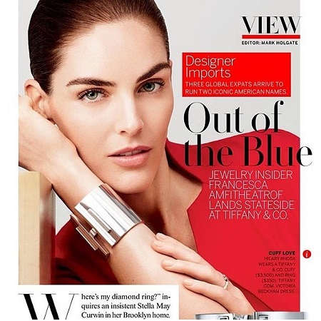 Hilary Rhoda Career, & Profession