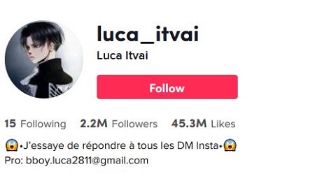 Luca Itvai Career & Profession