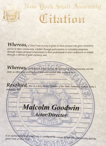 Malcolm Goodwin degree