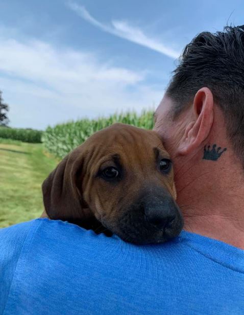 Paul Connell has a pet dog