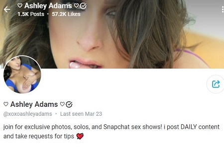Ashley Adams Career, Videos & Profession