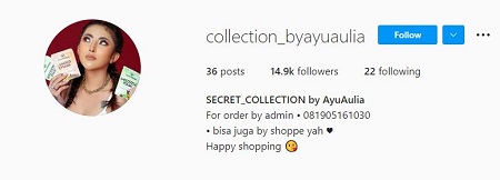 Ayu Aulia Career, Modeling & Profession