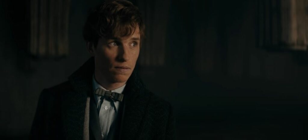 Eddie Redmayne acted as Newt Scamander in the film