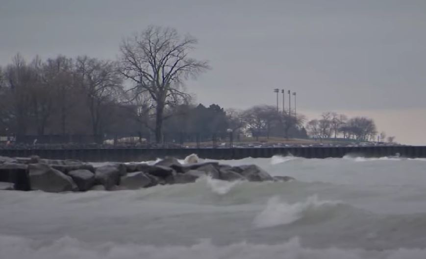 Elise Malary dead body was found at Lake Michigan in March 2022
