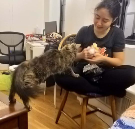 Erika Cheung has a pet cat
