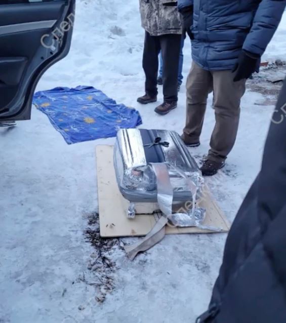 Gretta Vedler's body was found in a suitcase