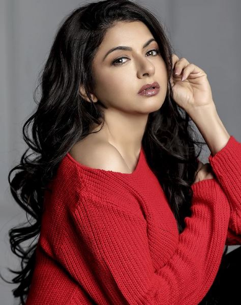 Himalaya Dassani's wife Bhagyashree Patwardhan