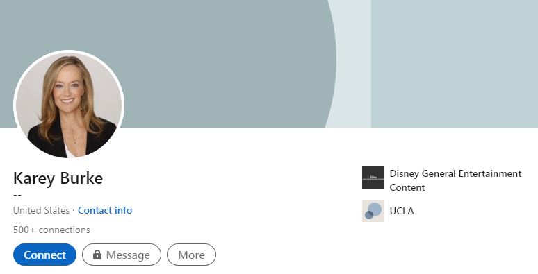 Karey Nixon Burke's LinkedIn profile