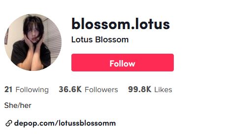 Lotus Blossom TikTok account