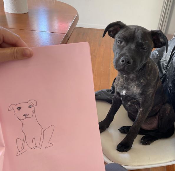Vinnie Bennett has a pet dog