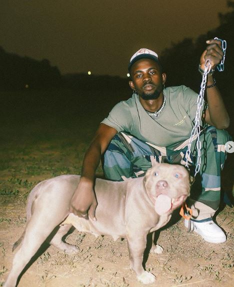 Black Sherif is an animal lover