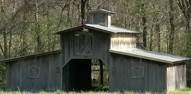 Cassie Carli's dead body was found in a shallow grave inside a barn in Springville, Alabama