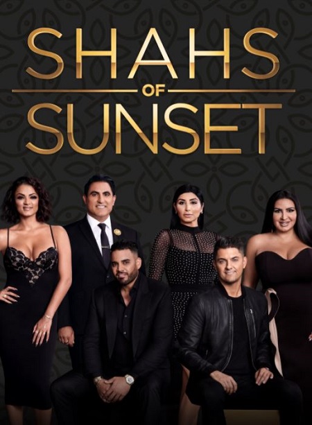 Mike Shouhed Career, TV Shows & Profession