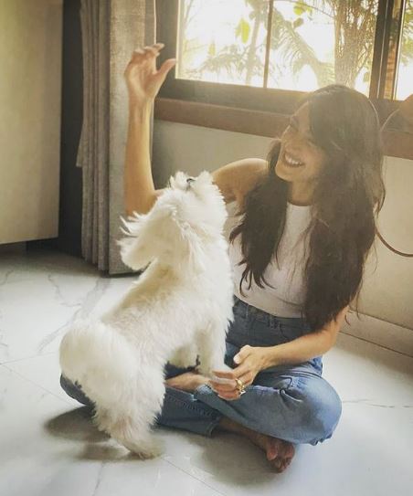 Vaishali Malahara has a pet dog