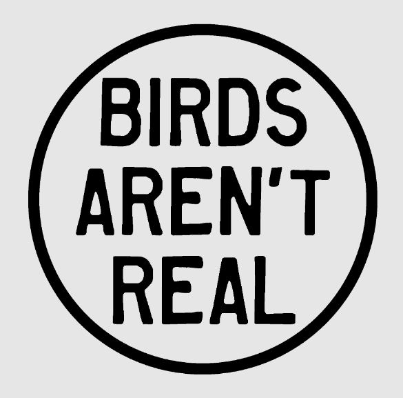 Birds Aren't Real's real sticker
