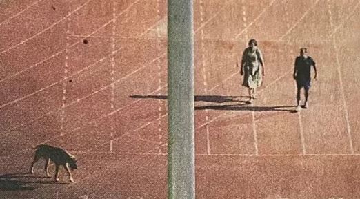 Sanjeev Khirwar viral image in Delhi Stadium