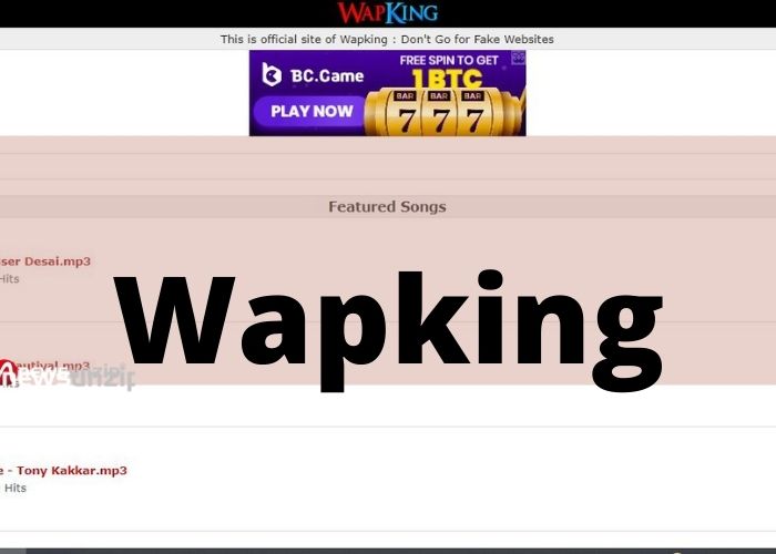 Wapking