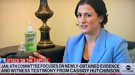 Cassidy Hutchinson Family (Nationality & Ethnicity)