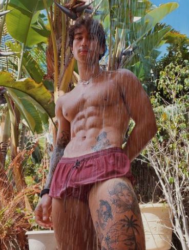 Lamicella tattoos
