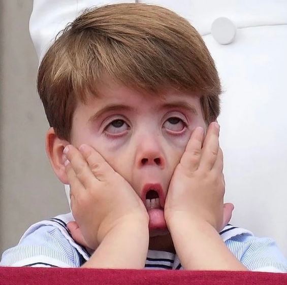 Prince Louis facts