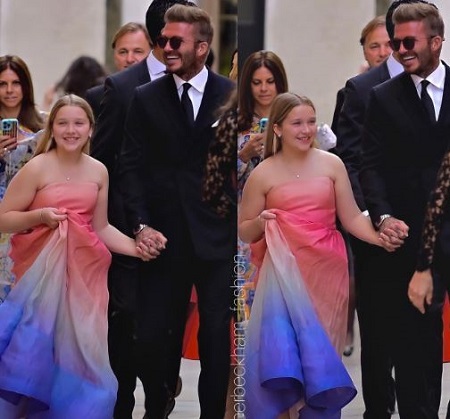Who is Harper Beckham Behind the curtains of the personal life of a former footballer's daughter
