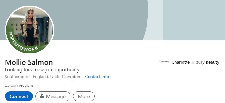 Mollie's LinkedIn account