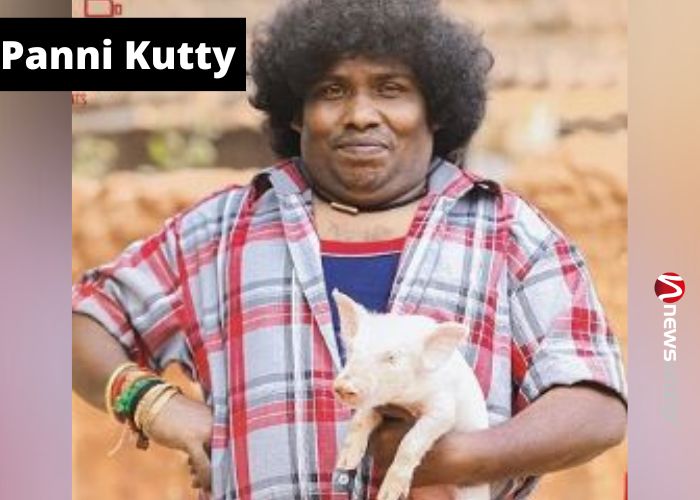 Panni Kutty
