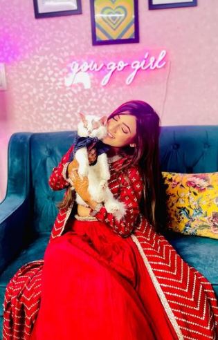 Samreen Ali likes cats