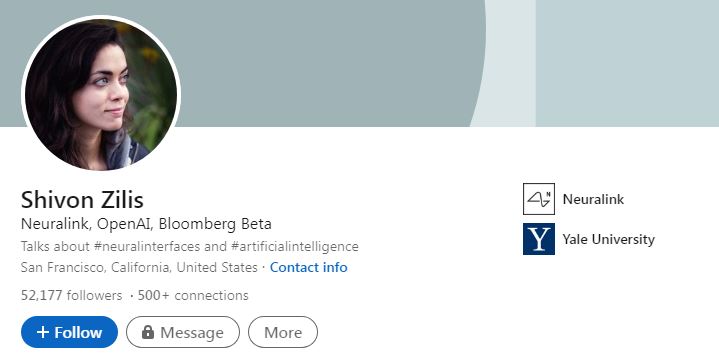 Shivon Zilis's LinkedIn profile