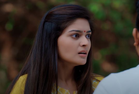 Actress Vaibhavi Shandilya as main character