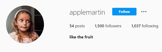 Apple Martin IG handle