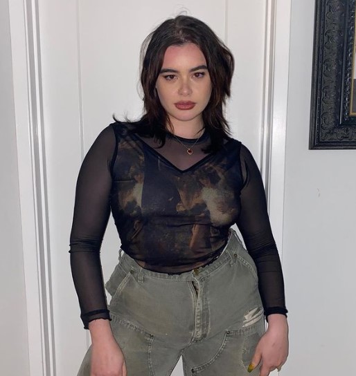 Barbie Ferreira Net Worth